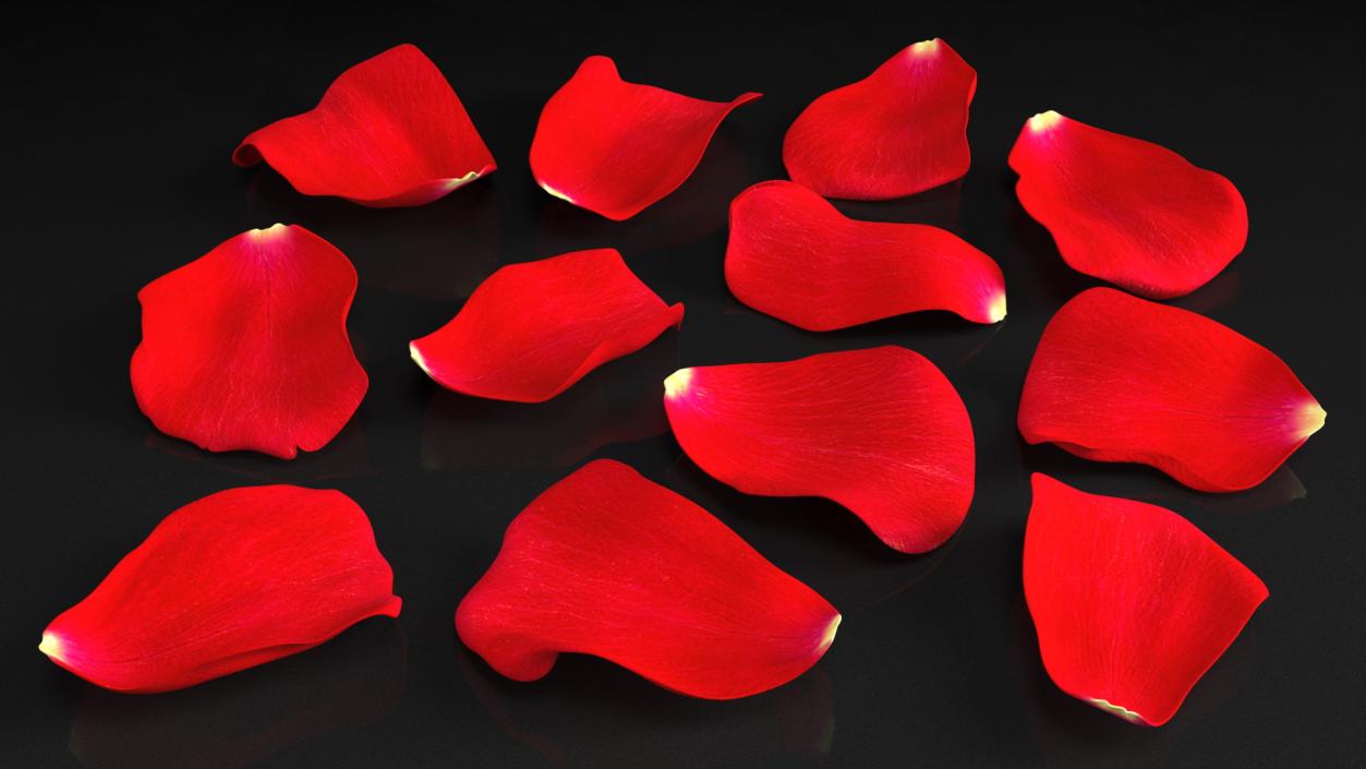 3D model Rose Petals Red