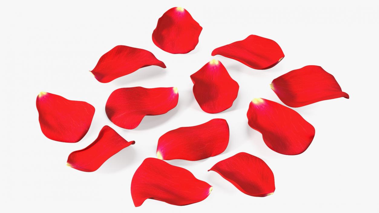 3D model Rose Petals Red