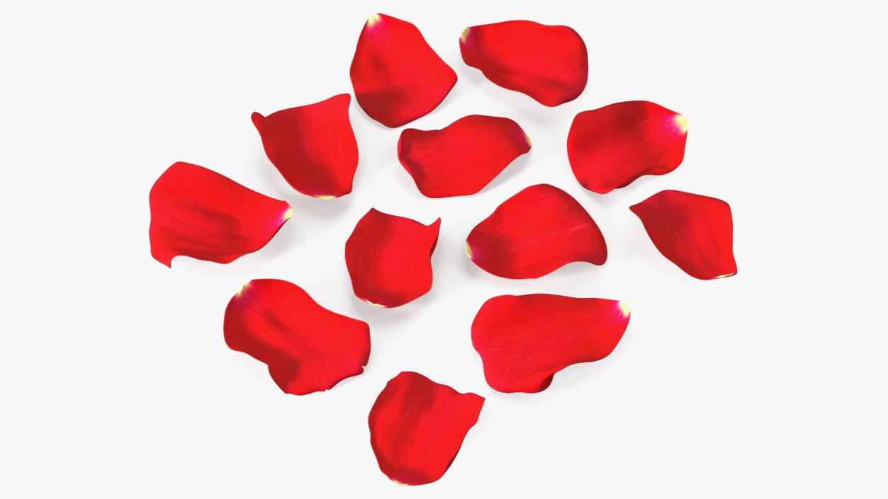 3D model Rose Petals Red