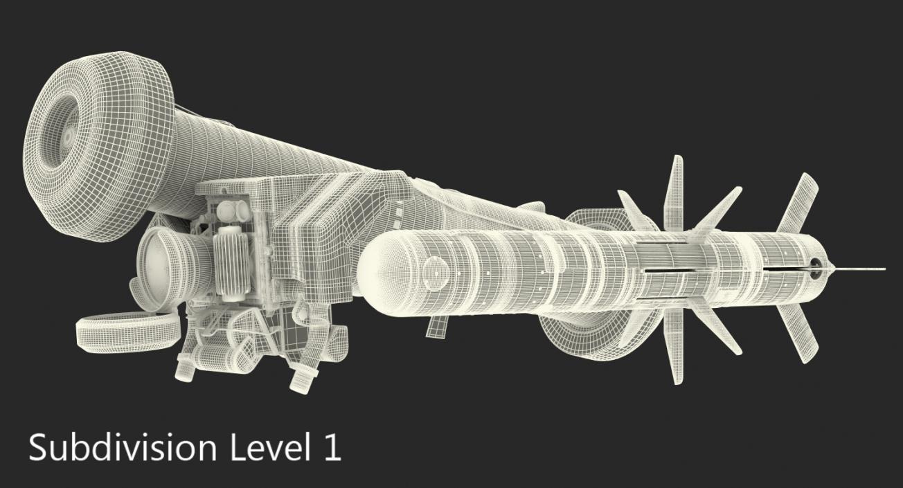 Anti Tank Missile FGM-148 Javelin Set 3D