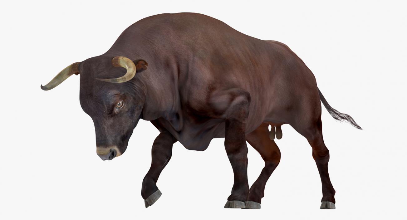 3D Bull Rigged