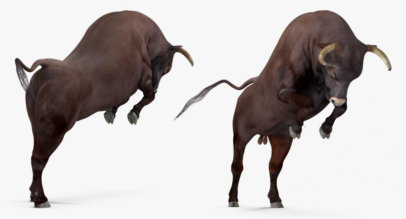 3D Bull Rigged