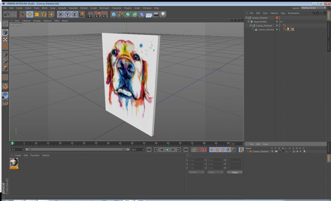 Canvas Painted 3D model