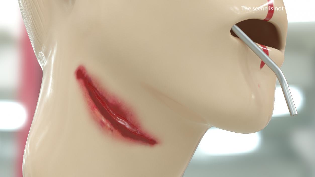 3D Injured Firstaid Mannequin Head