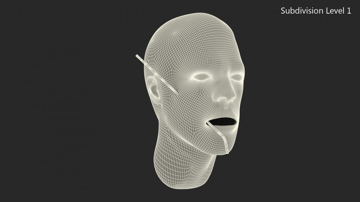 3D Injured Firstaid Mannequin Head