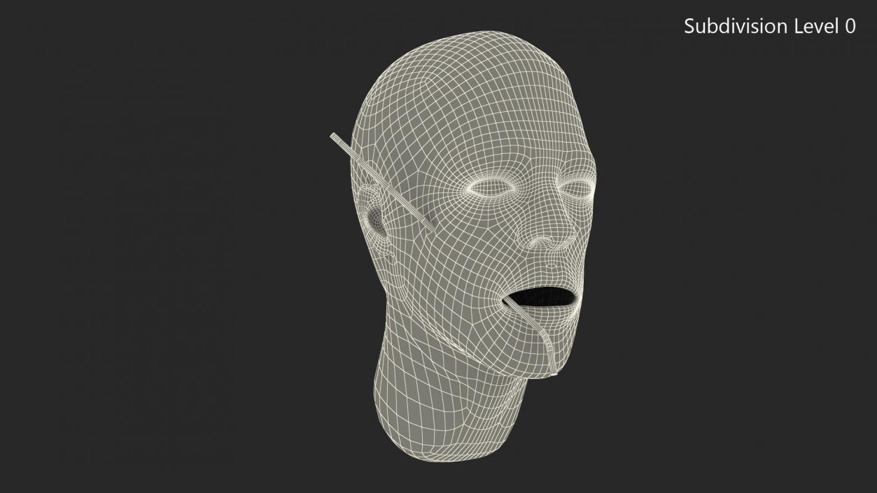 3D Injured Firstaid Mannequin Head