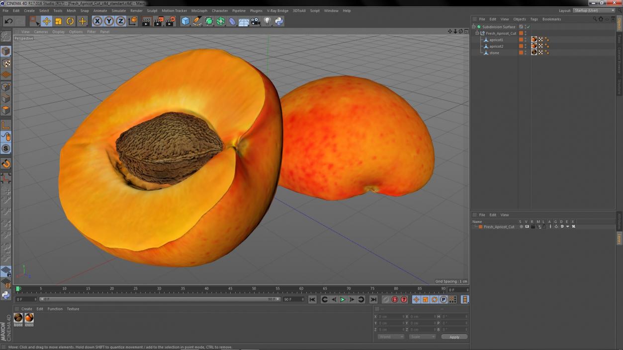 Fresh Apricot Cut 3D