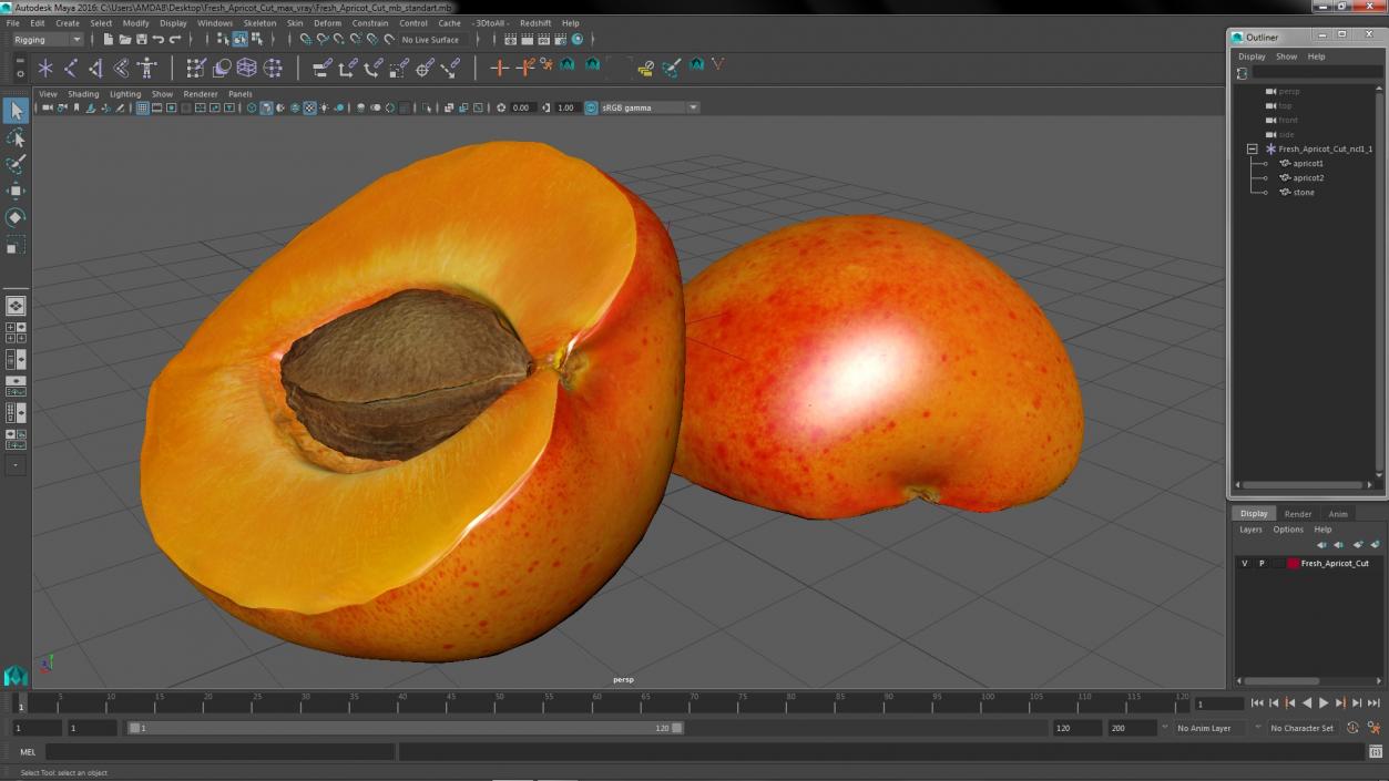 Fresh Apricot Cut 3D