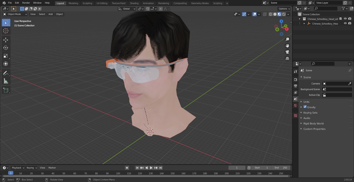 Chinese Schoolboy Head with Google Glasses 3D