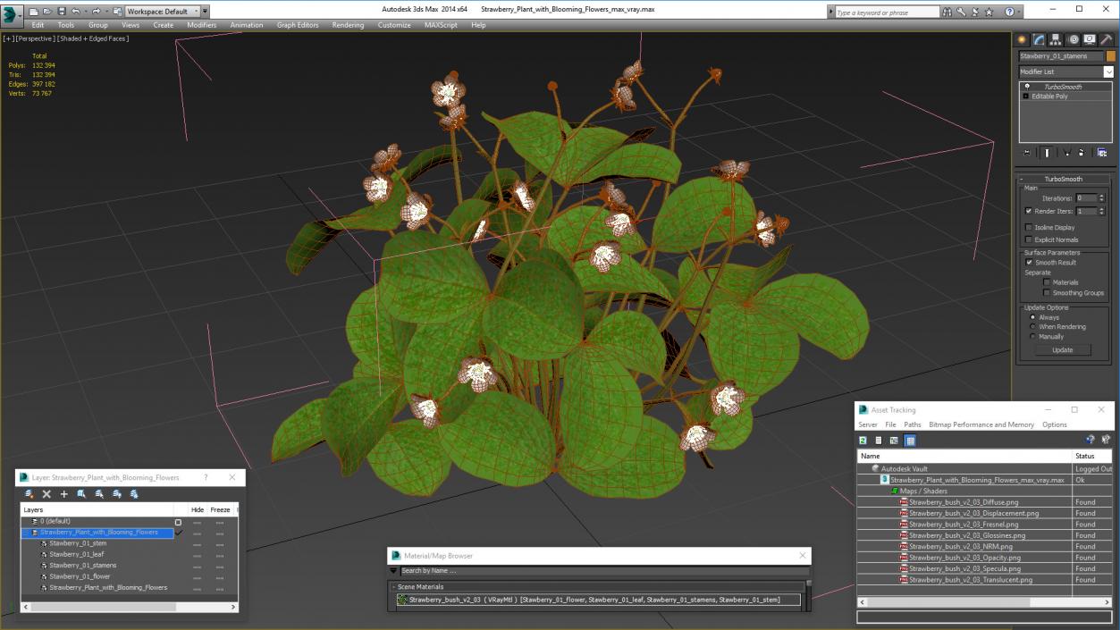 3D Strawberry Plant with Blooming Flowers model