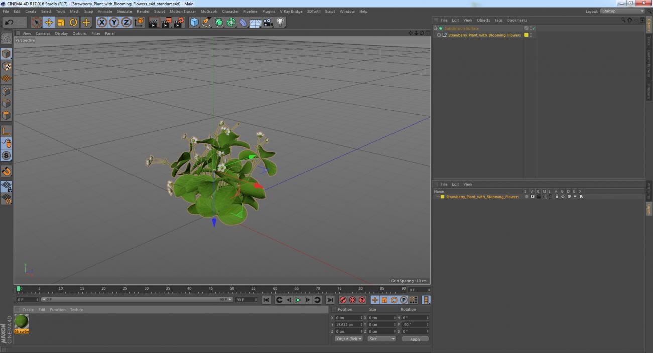 3D Strawberry Plant with Blooming Flowers model