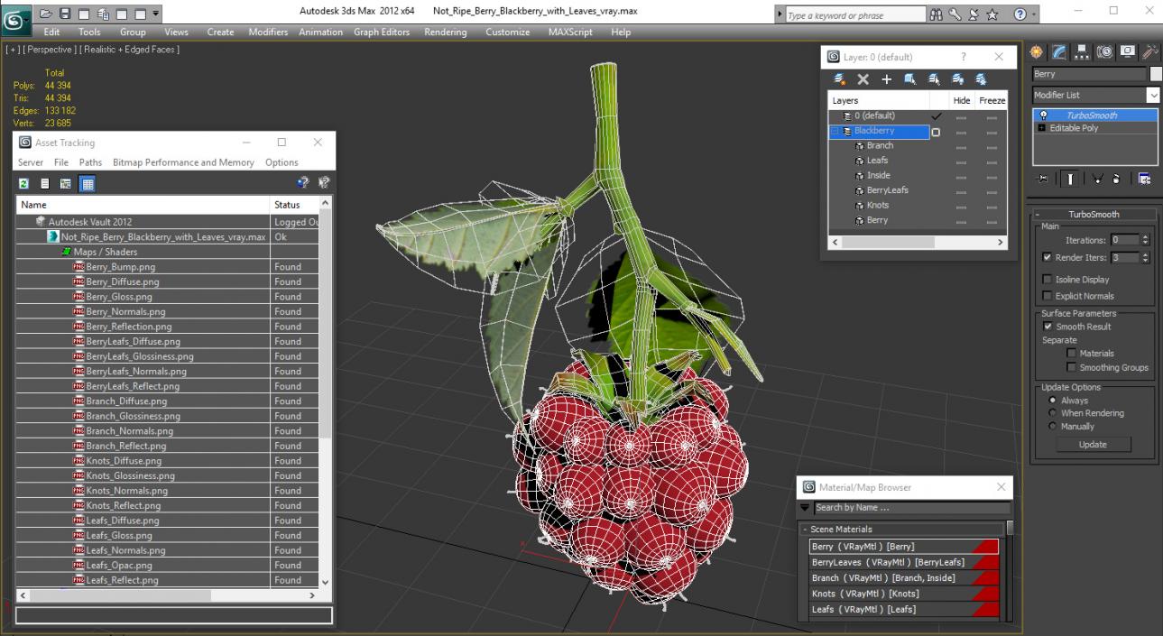 Not Ripe Berry Blackberry with Leaves 3D