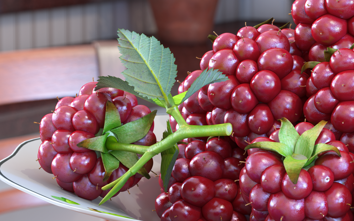 Not Ripe Berry Blackberry with Leaves 3D