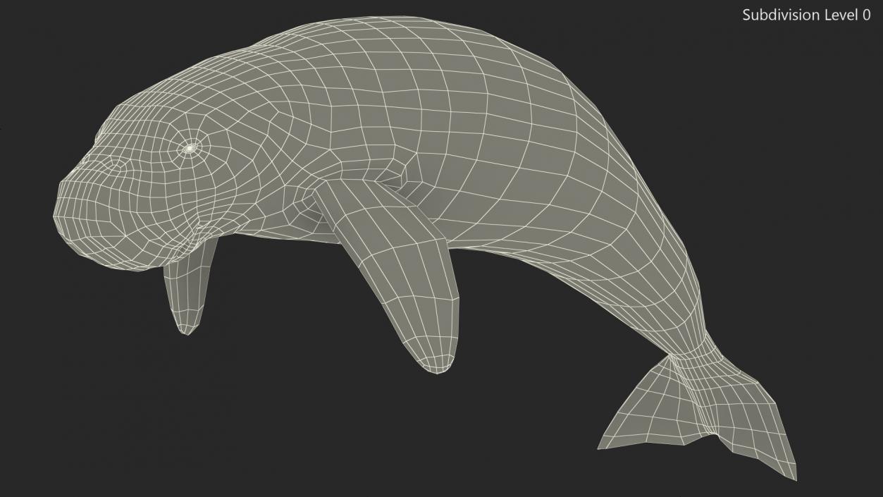 3D model Dugong Swimming Pose