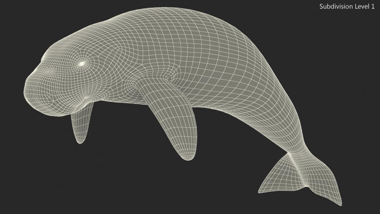 3D model Dugong Swimming Pose