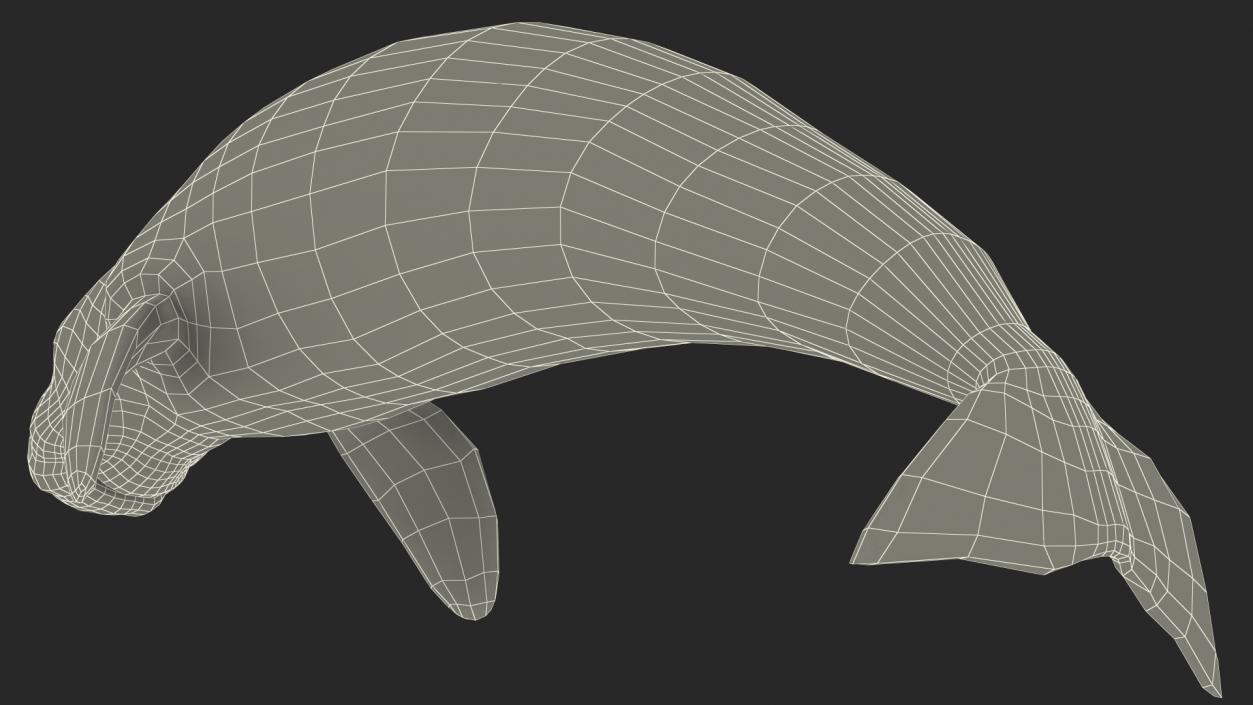 3D model Dugong Swimming Pose