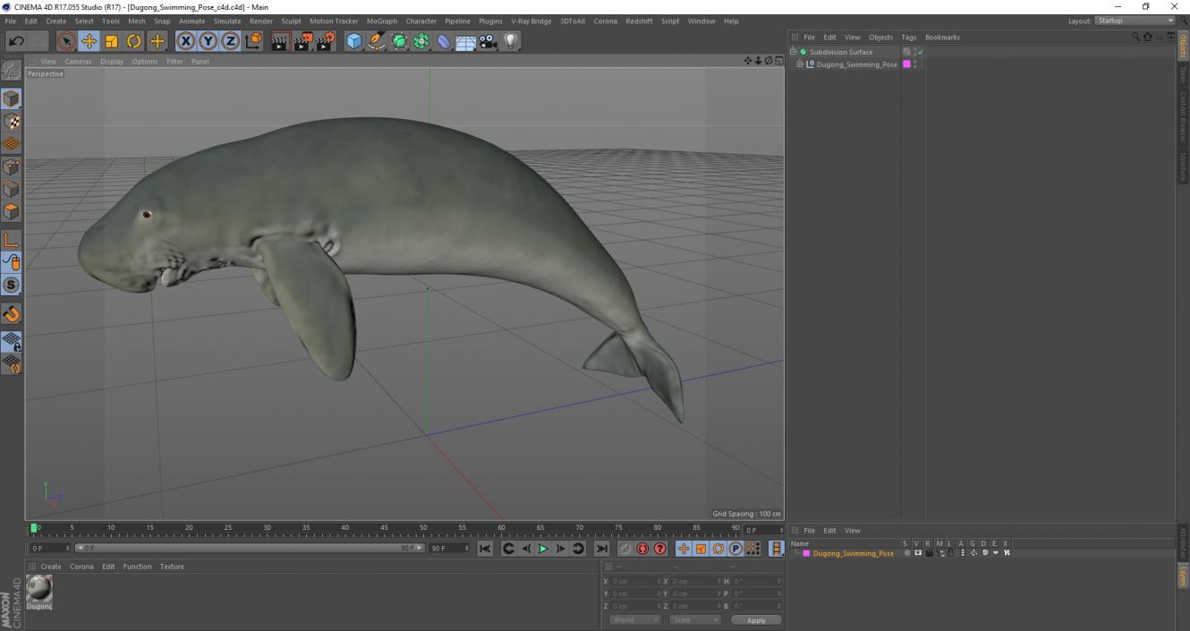 3D model Dugong Swimming Pose