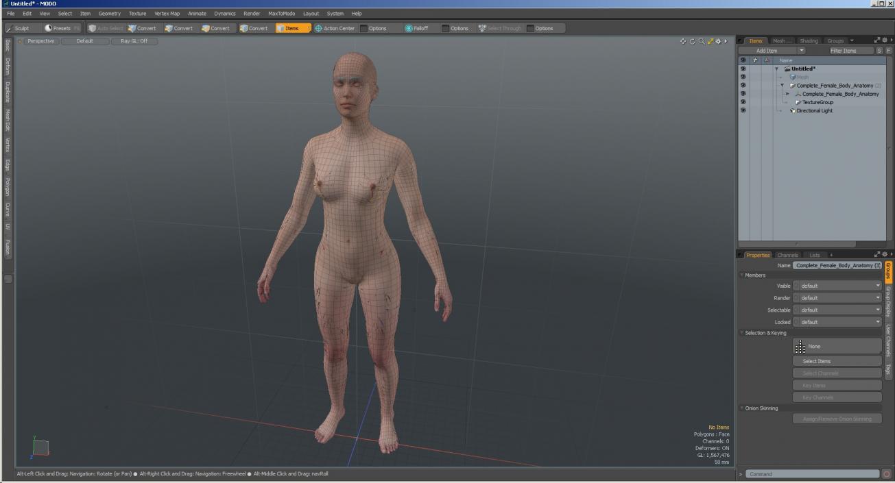 3D Complete Female Body Anatomy model