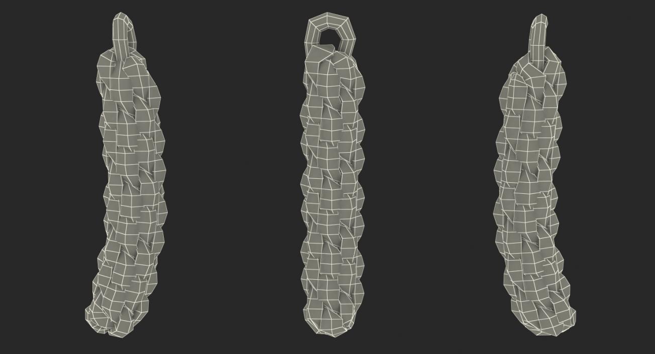 3D Piece of Rope model