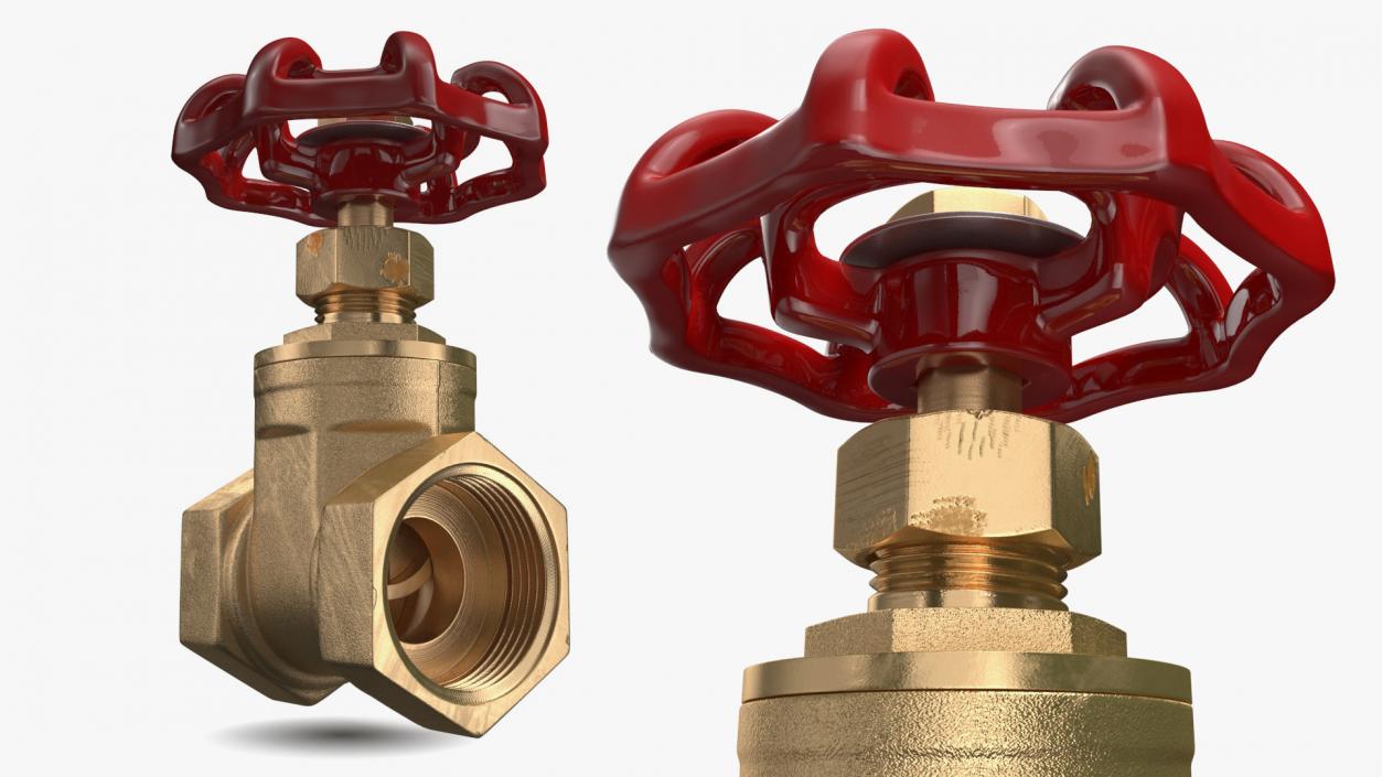 Bronze Gate Valve 3D