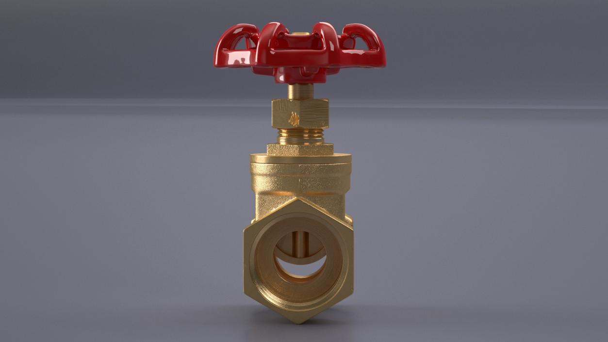 Bronze Gate Valve 3D