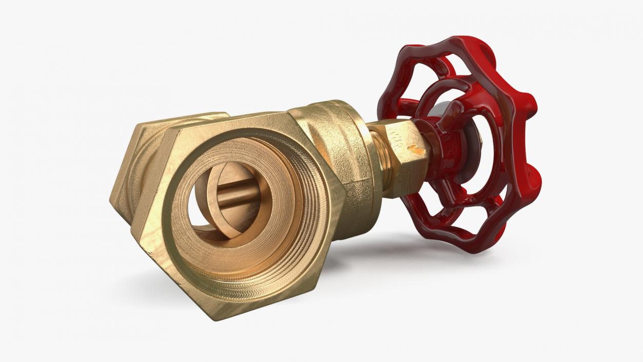 Bronze Gate Valve 3D