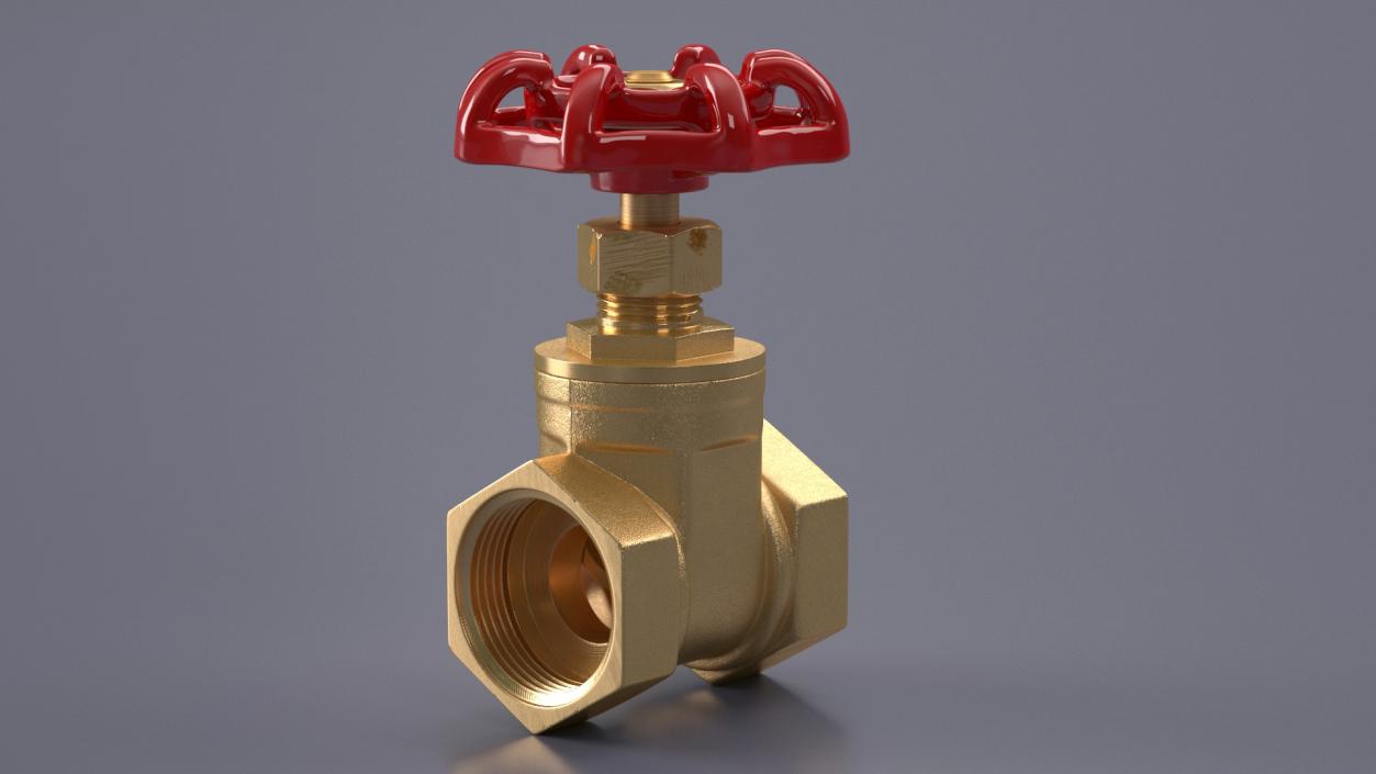 Bronze Gate Valve 3D