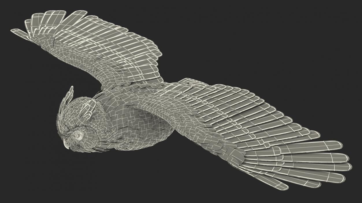 3D Great Horned Owl Flying Pose model