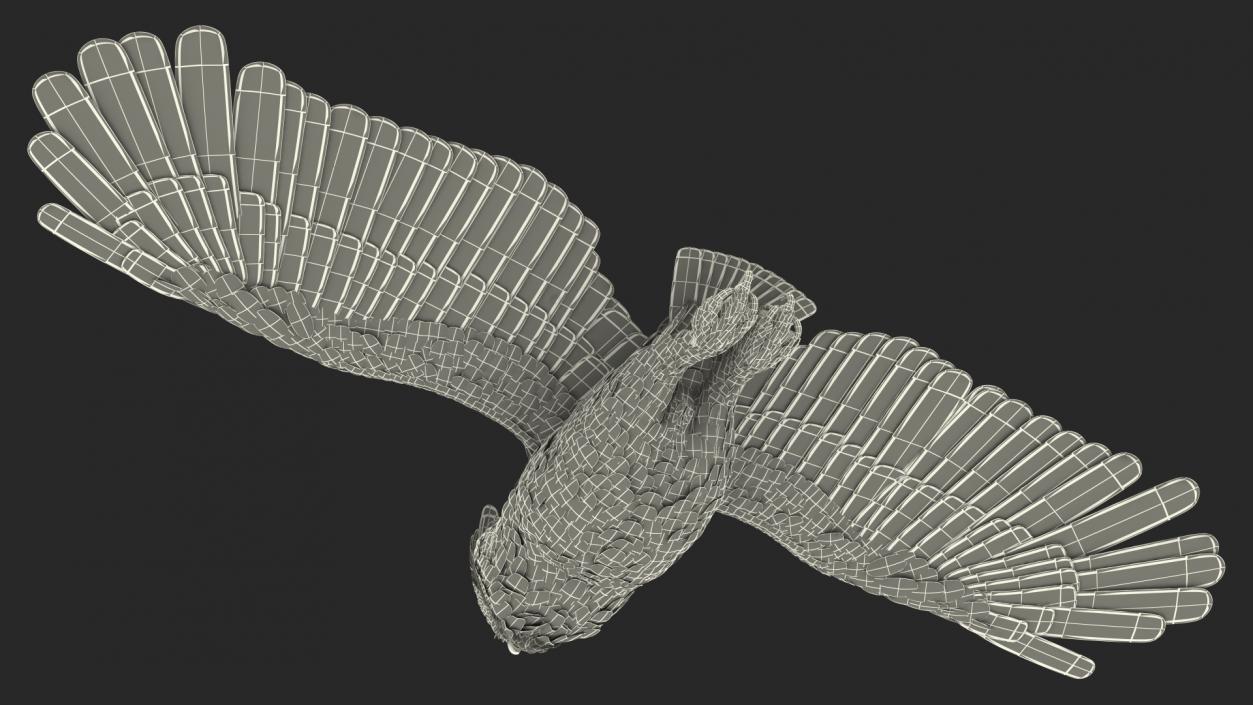 3D Great Horned Owl Flying Pose model