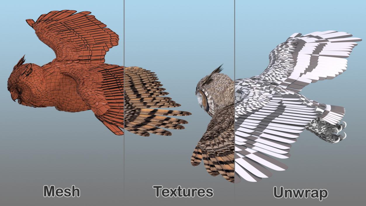 3D Great Horned Owl Flying Pose model