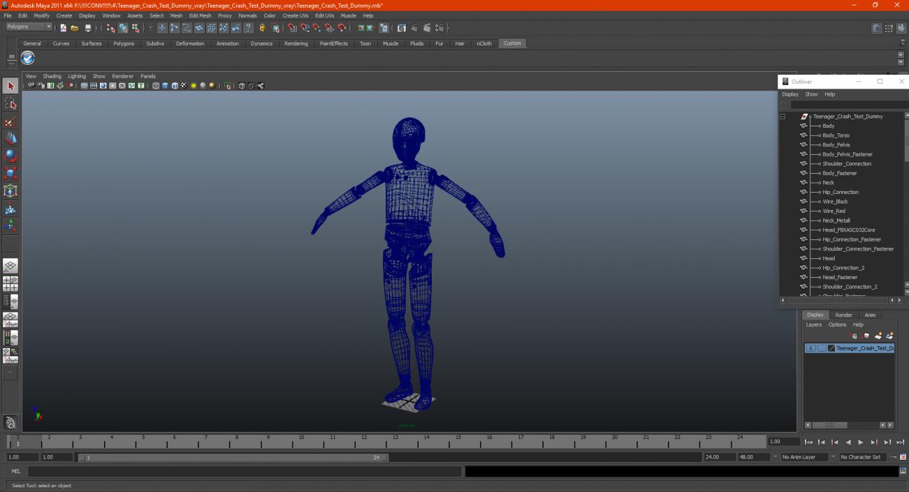 3D model Teenager Crash Test Dummy