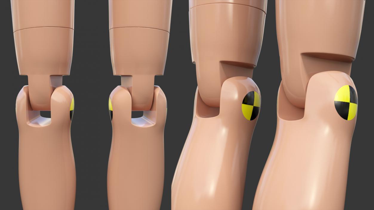 3D model Teenager Crash Test Dummy