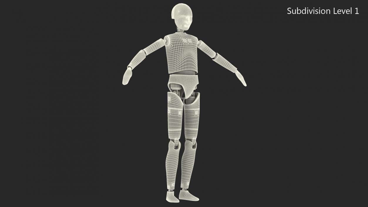 3D model Teenager Crash Test Dummy