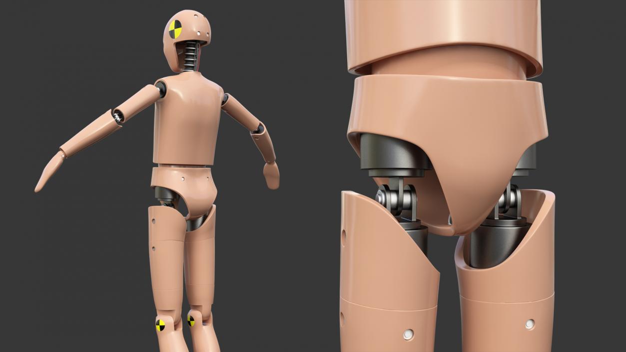 3D model Teenager Crash Test Dummy