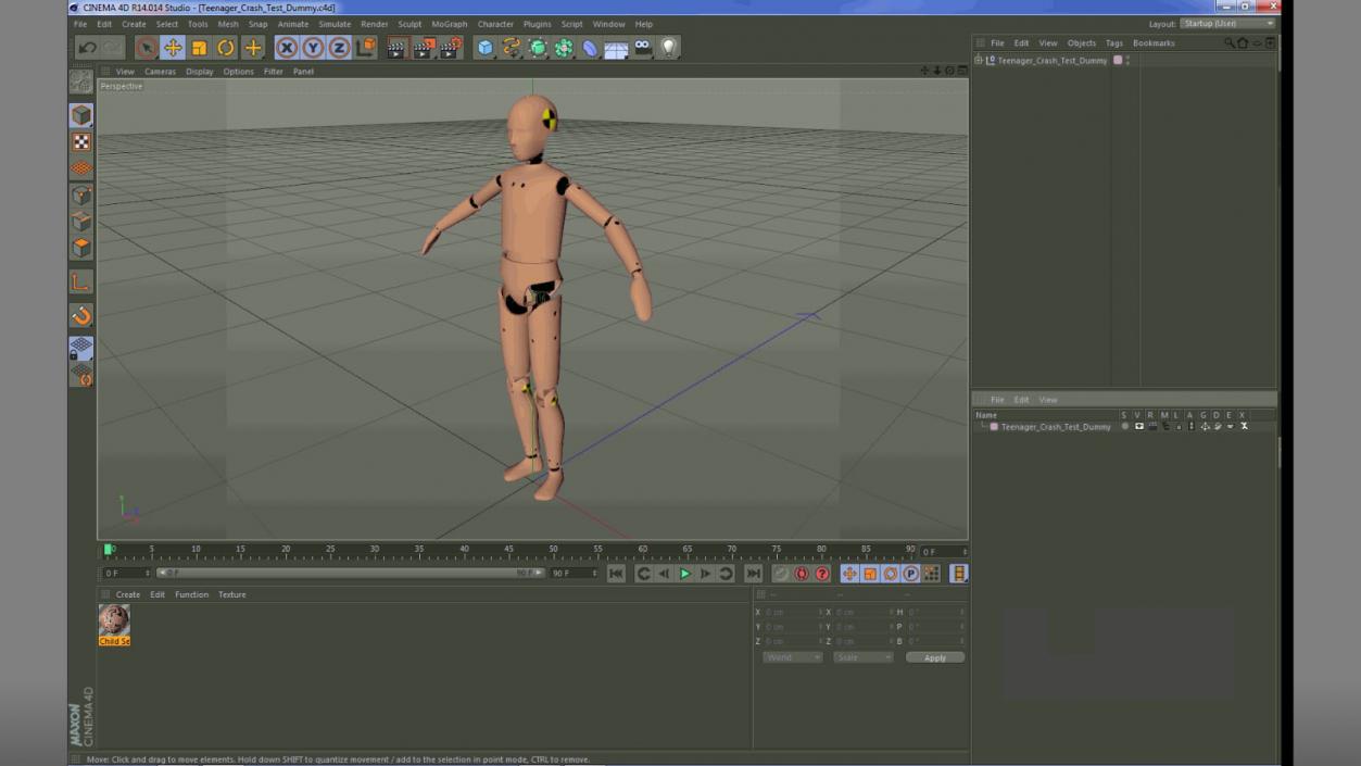 3D model Teenager Crash Test Dummy