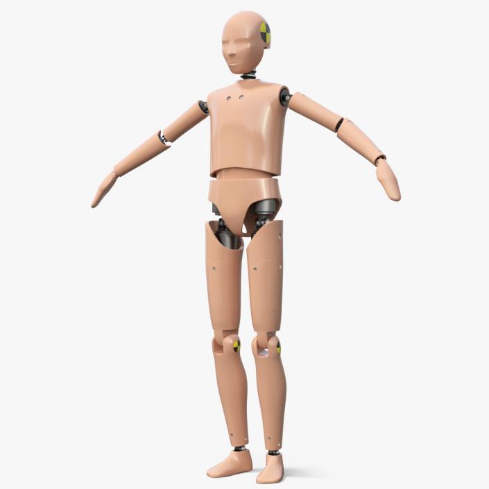 3D model Teenager Crash Test Dummy