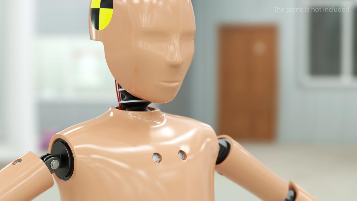 3D model Teenager Crash Test Dummy