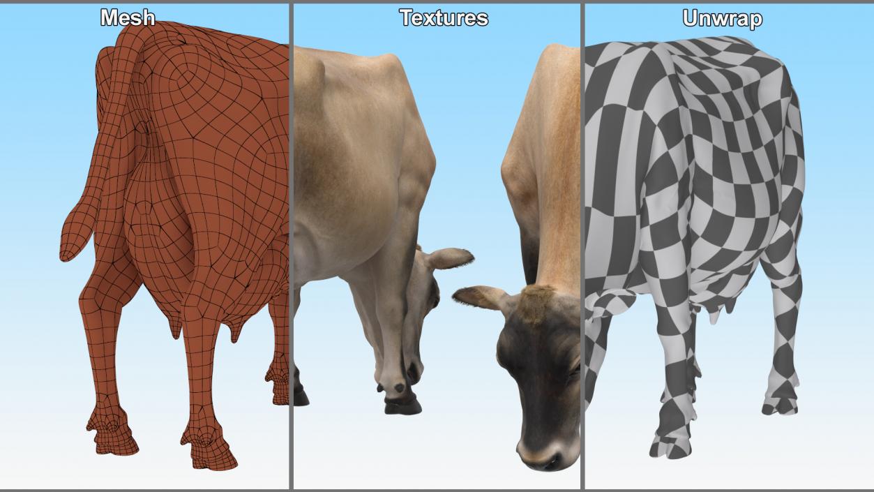 3D Jersey Heifer Eats Beige Fur model