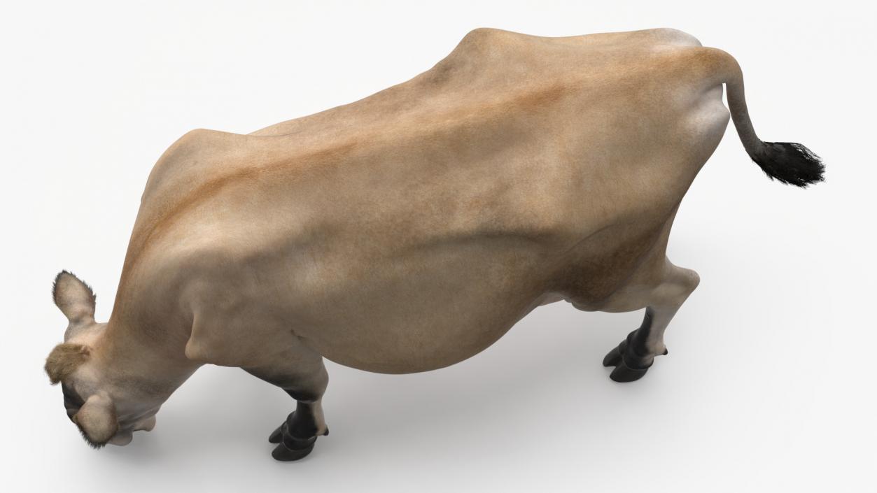 3D Jersey Heifer Eats Beige Fur model