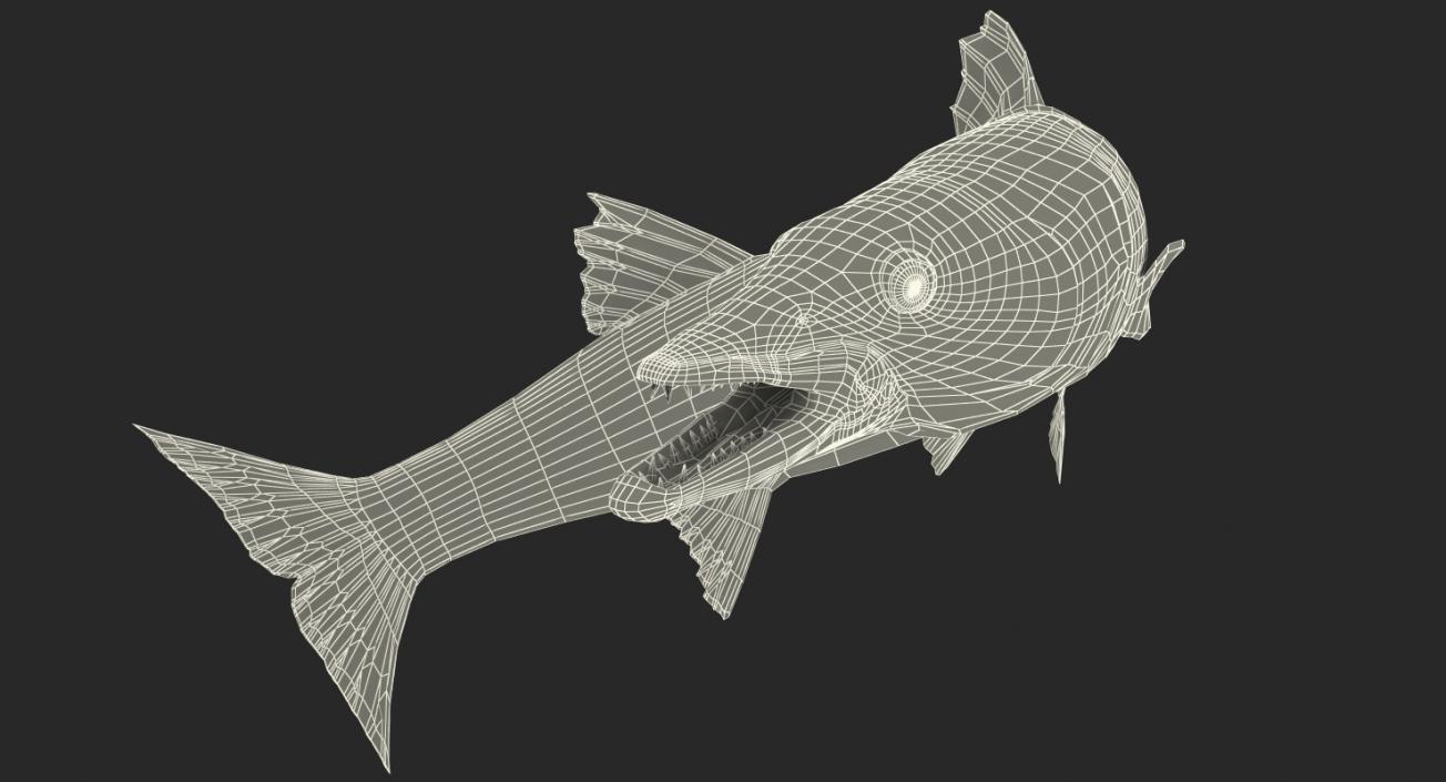 3D Barracuda Fish Rigged