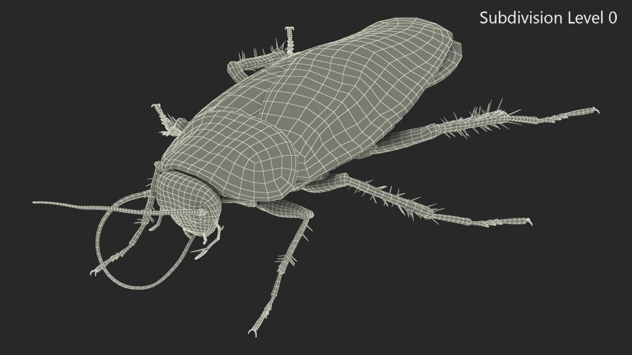 3D Animated Cockroach Cleans Mustache Rigged