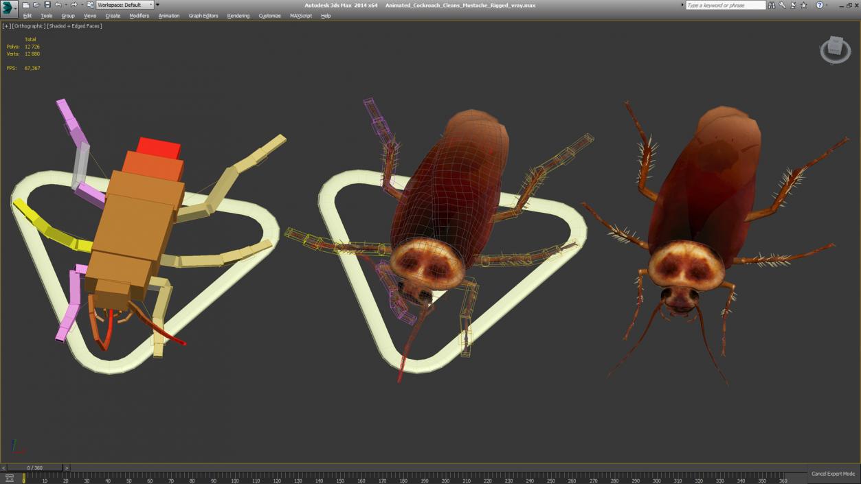 3D model Animated Cockroach Cleans Mustache Rigged for Maya