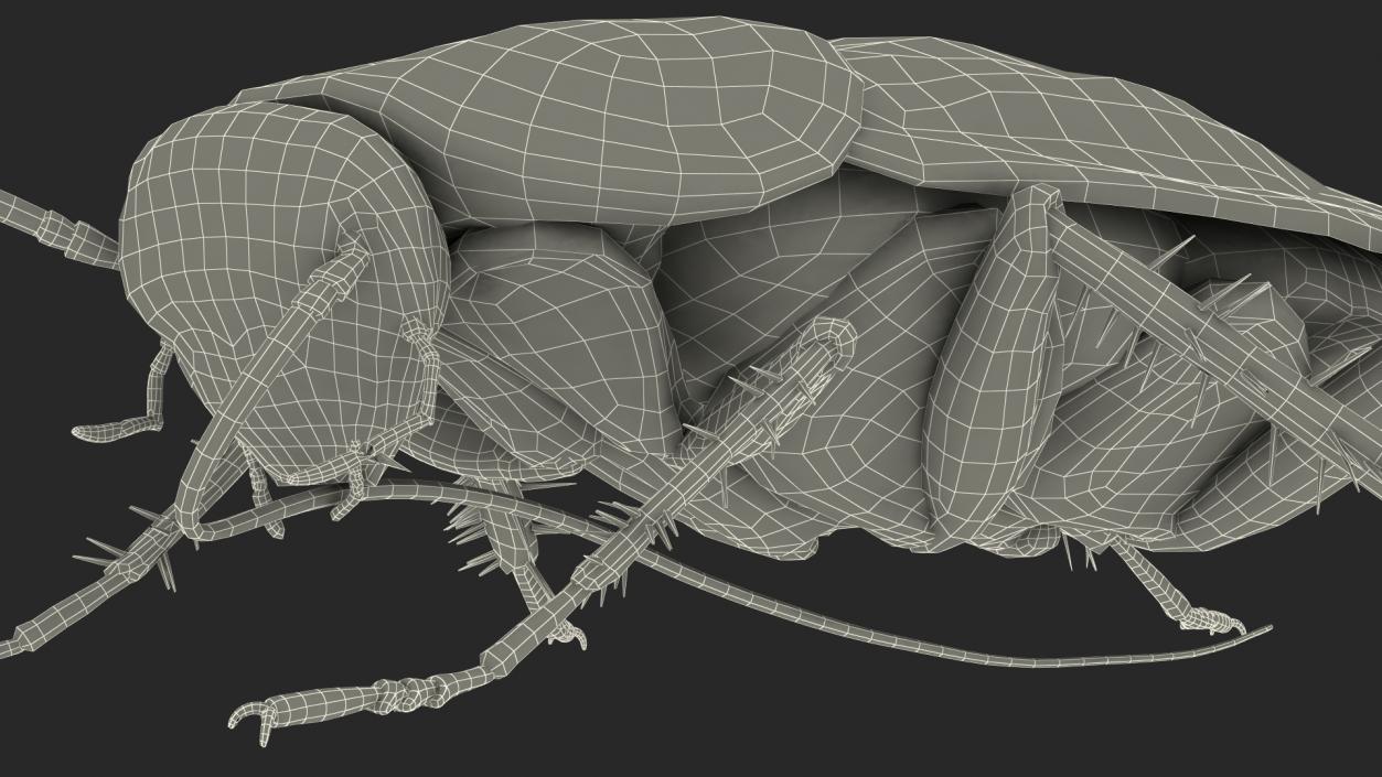 3D Animated Cockroach Cleans Mustache Rigged