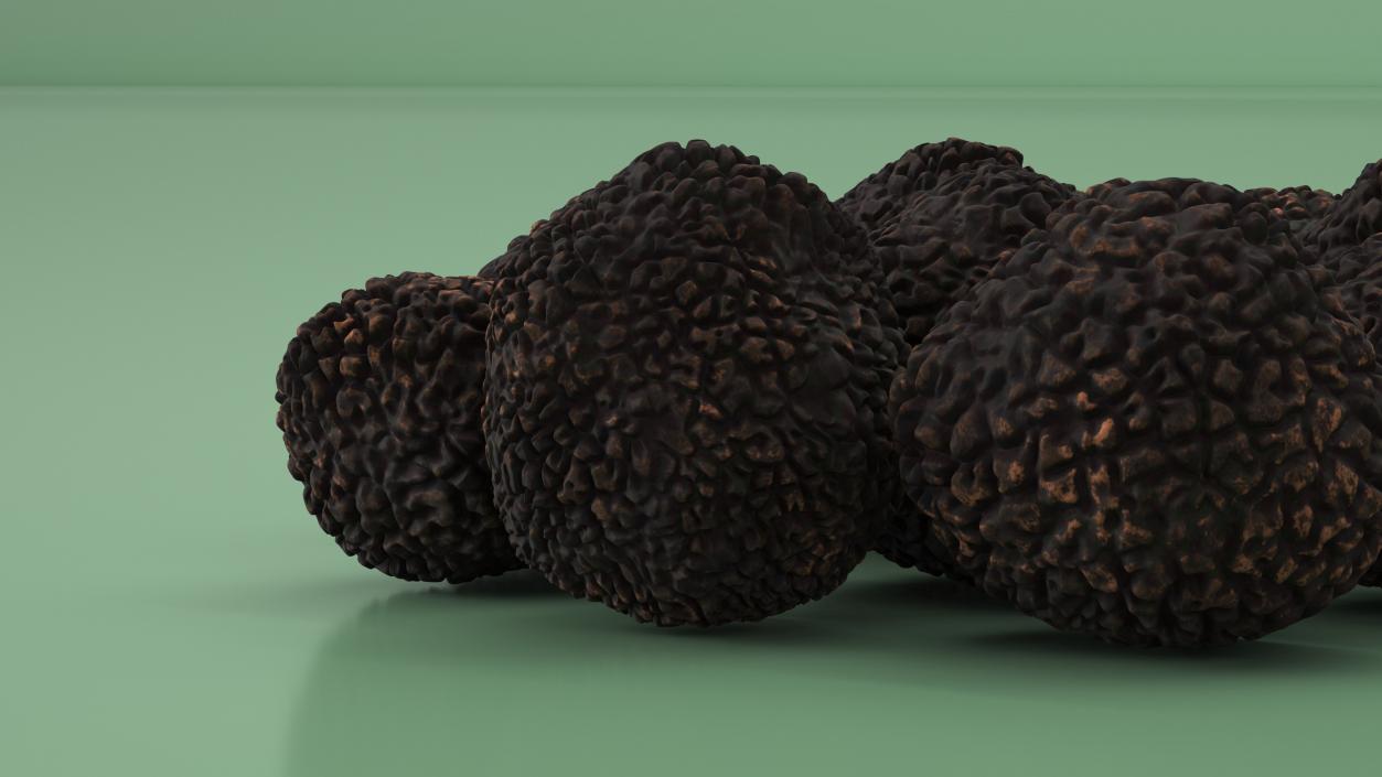 3D model Black Truffle 2