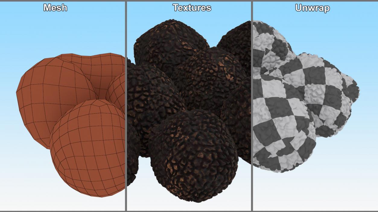 3D model Black Truffle 2