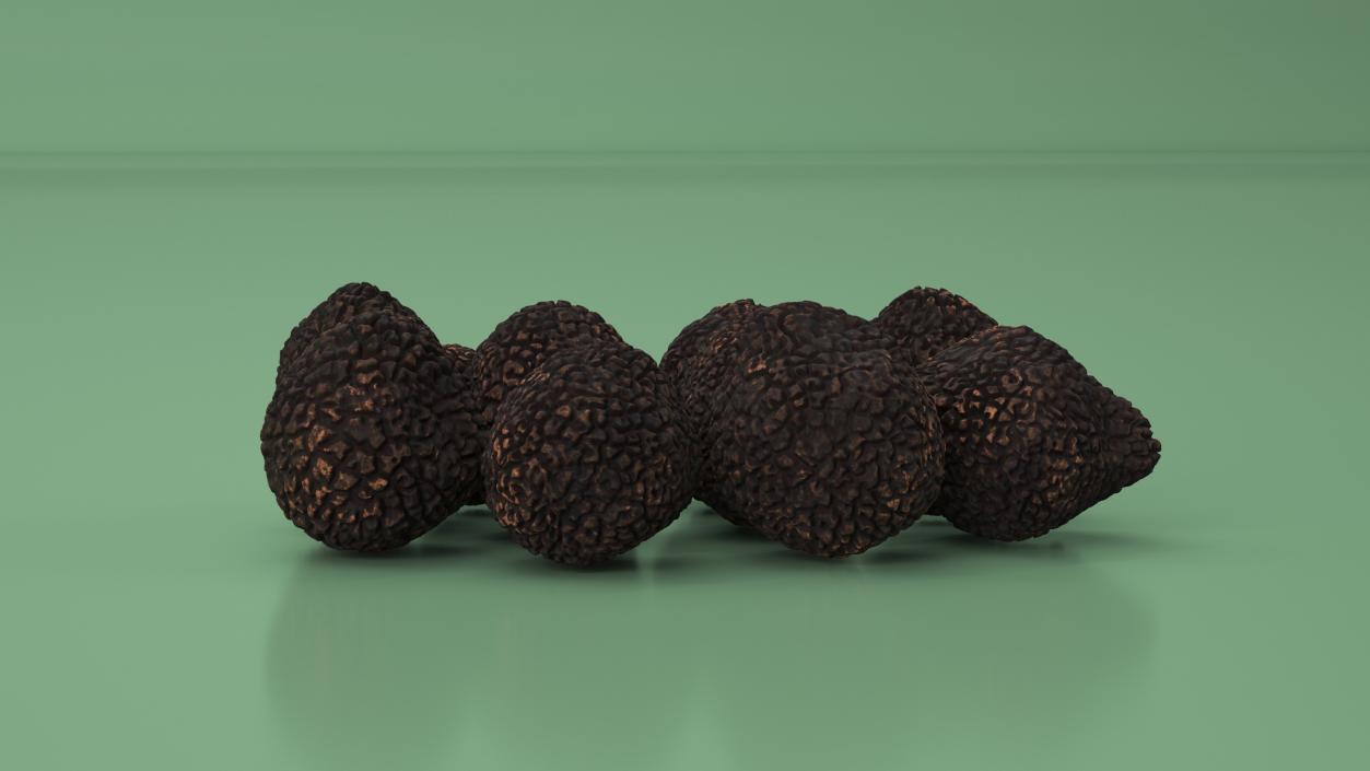 3D model Black Truffle 2