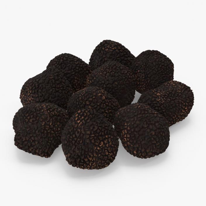 3D model Black Truffle 2