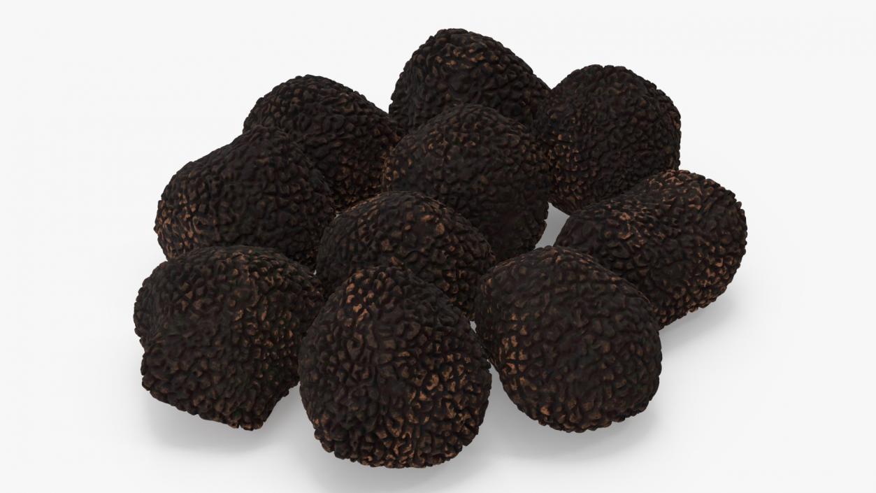 3D model Black Truffle 2