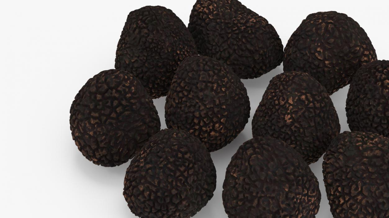 3D model Black Truffle 2