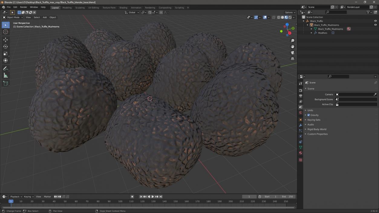 3D model Black Truffle 2